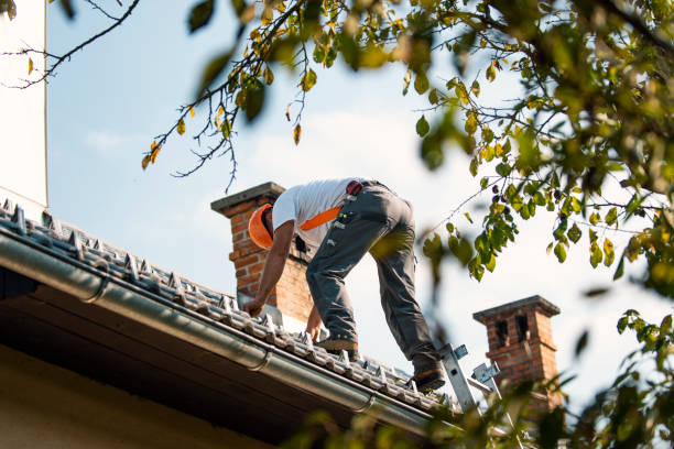 Best New Roof Installation  in Brilliant, OH
