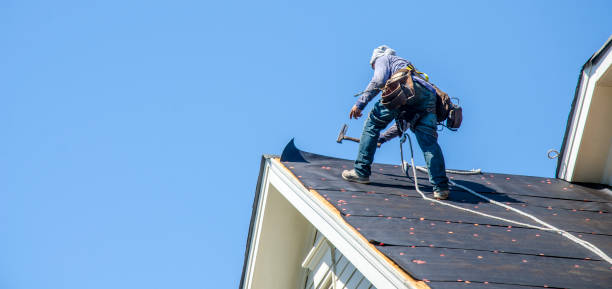 Best Storm Damage Roof Repair  in Brilliant, OH